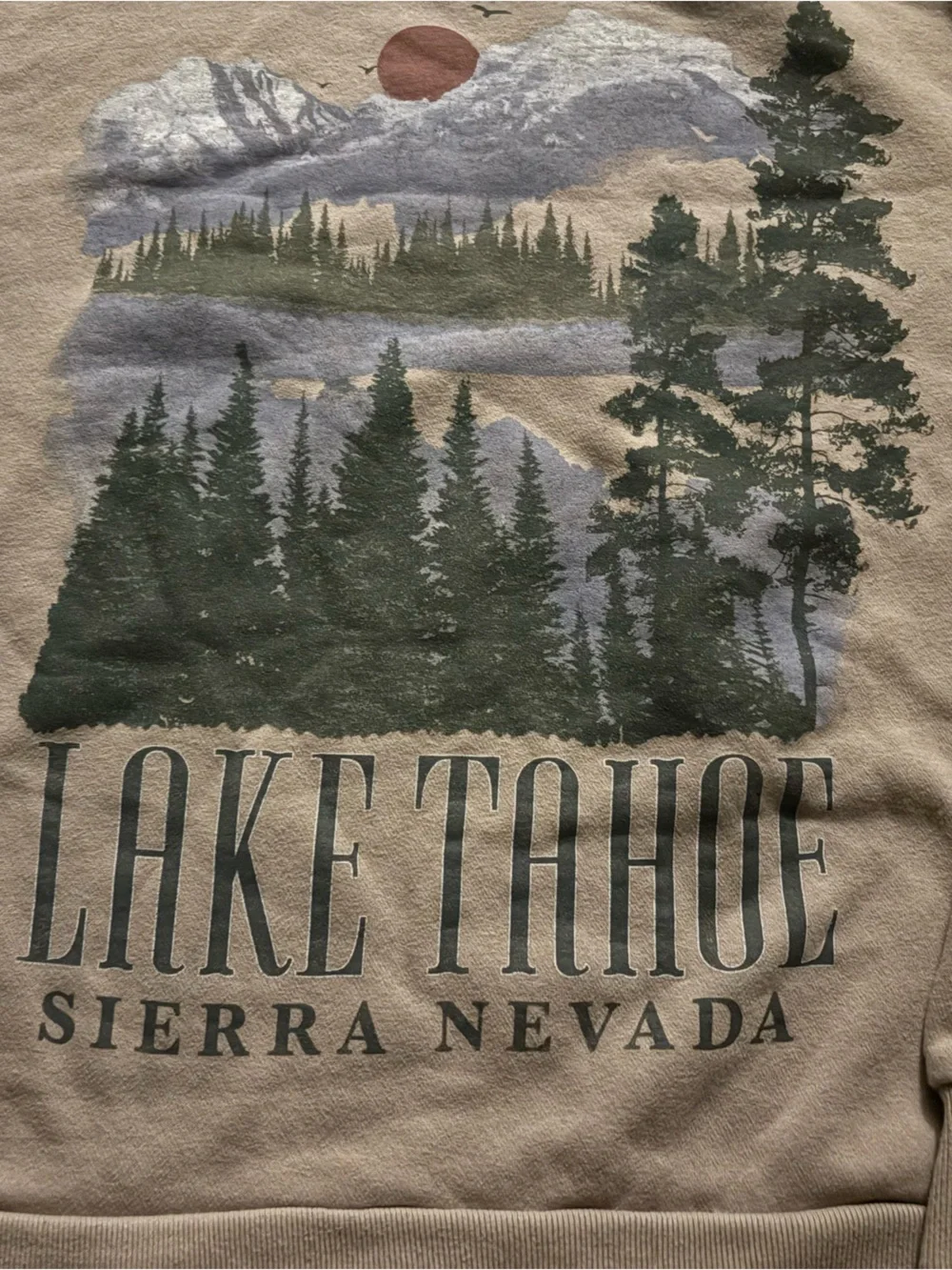 Hollister nature Lake Tahoe crewneck sweatshirt size L no flaws amazing graphic
